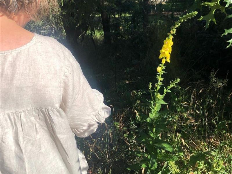 lady with back facing looking at yellow flower stalk