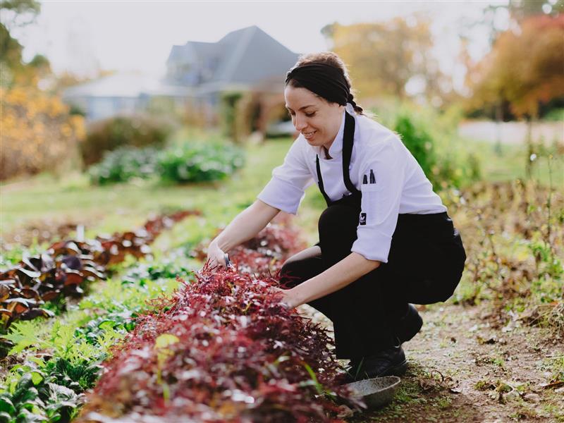 kitchen garden