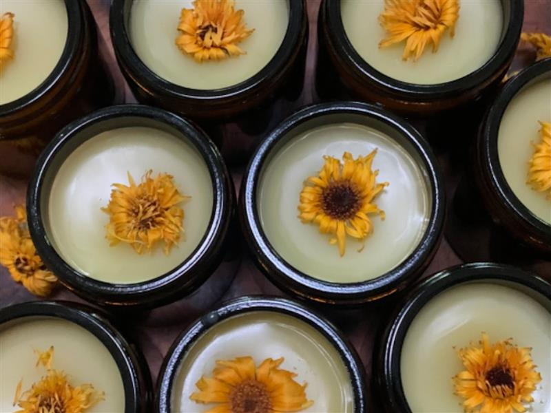 Image looking down on rows of jars with white liquid and yellow flowers