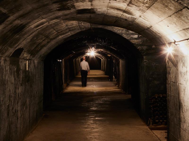 Tours available 7 days a week