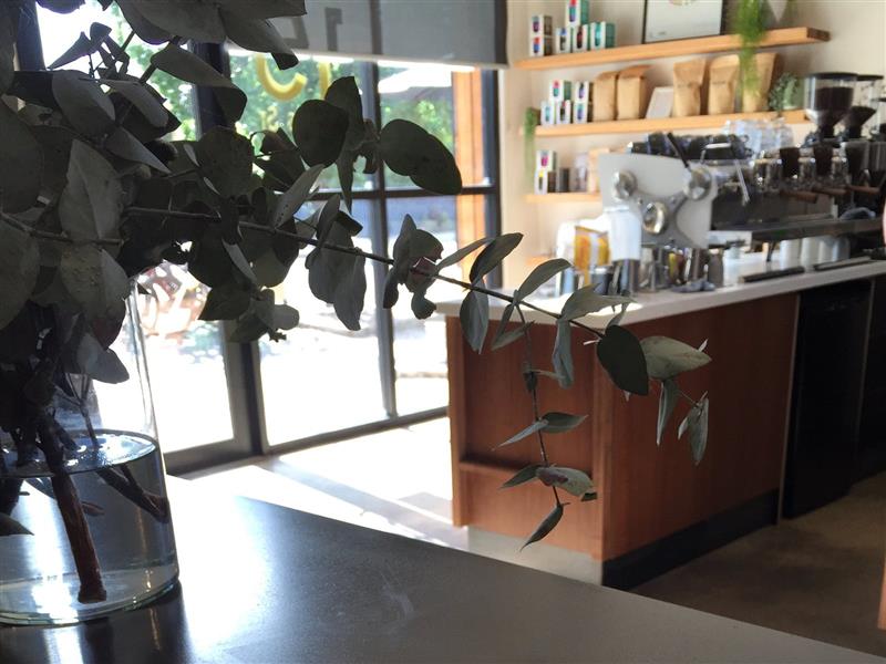 Sixpence Coffee at 15 Wills St