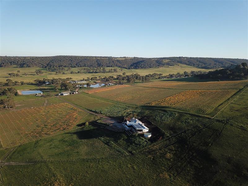 Aerial view of the estate
