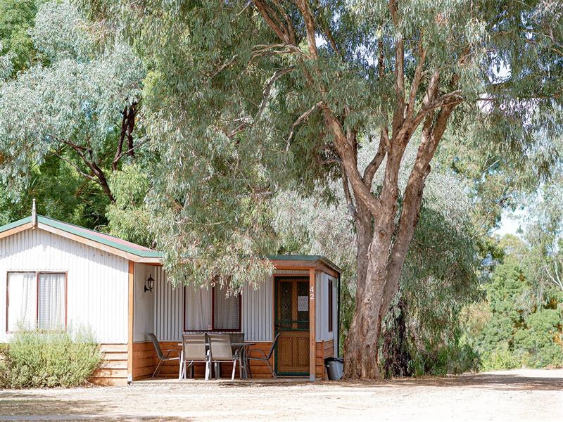 a caravan park accommodation offering surrounded by nature