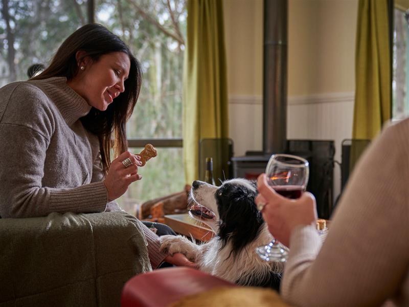 Dog friendly accommodation