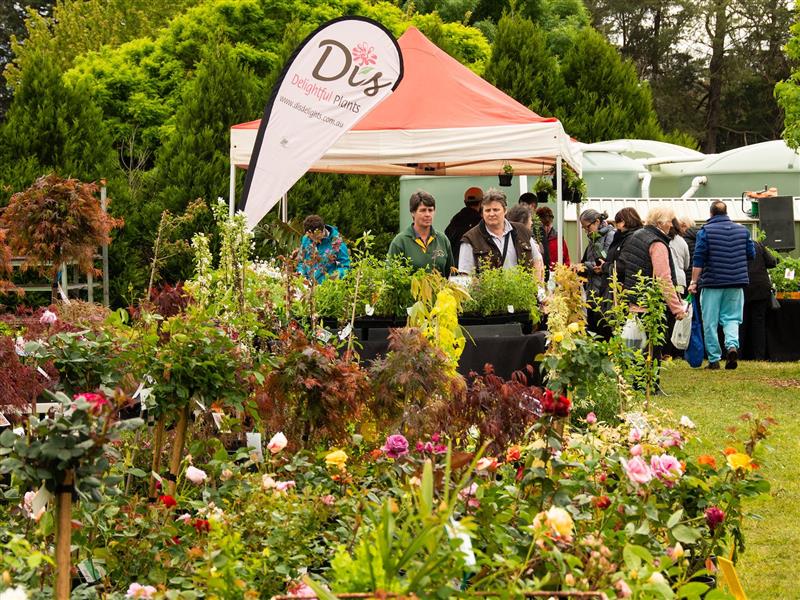 Roses and Di's Delightful Plants stand