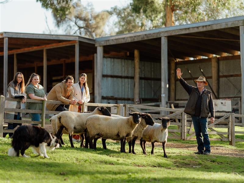 Churchill Island activities