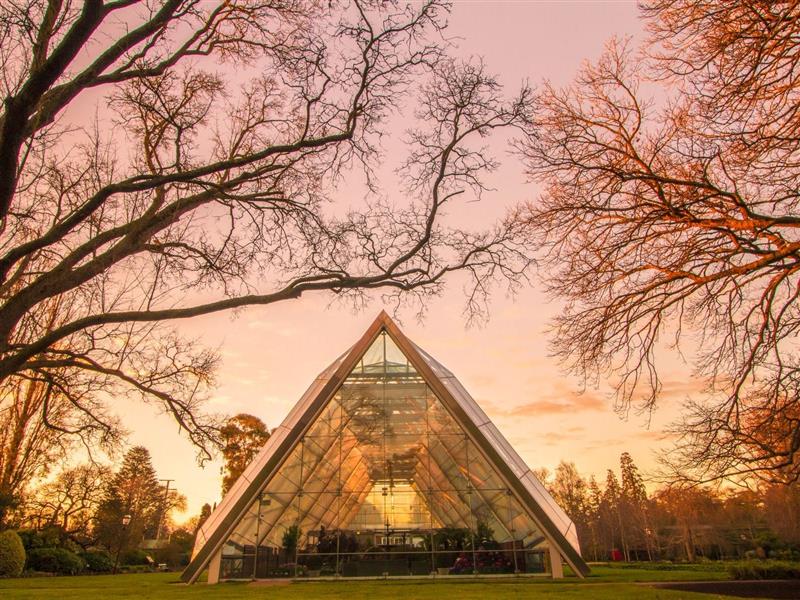 The Robert Clark Conservatory