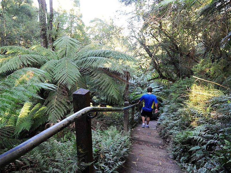 1000 Steps Kokoda Track Memorial Walk, Yarra Valley and Dandenong, Ranges, Victoria, Australia