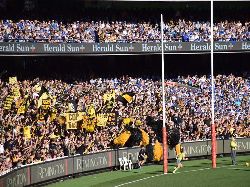 Fans at an AFL final at the MCG, Melbourne, Victoria, Australia