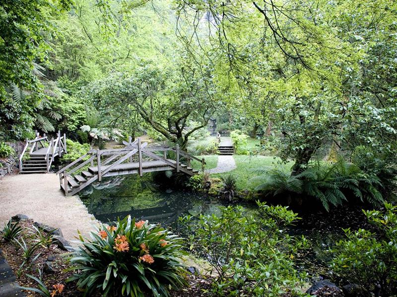 Alfred Nicholas Gardens, Sherbrooke,  Yarra Valley and Dandenong Ranges, Victoria, Australia
