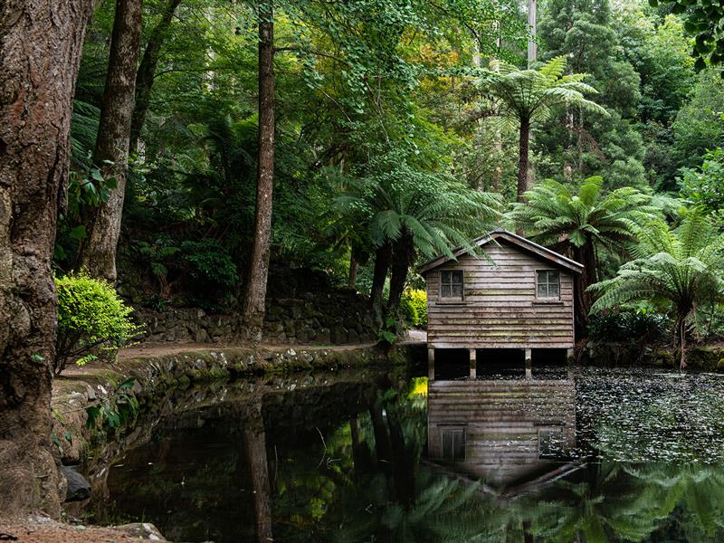 Alfred Nicholas Memorial Gardens, Yarra Valley and Dandenong Ranges, Victoria, Australia
