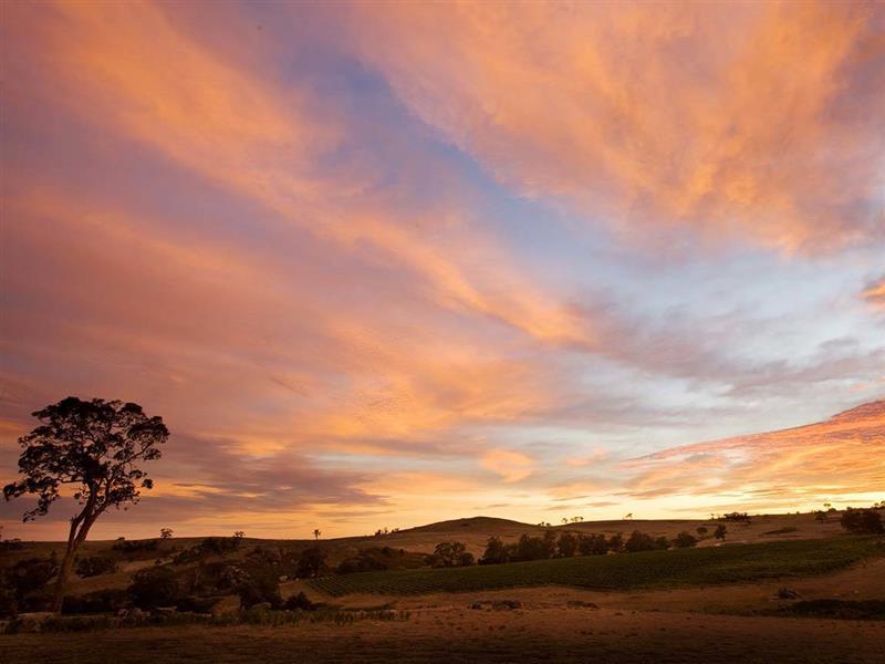 Baddaginnie Run, Strathbogie Ranges wine region, High Country, Victoria, Australia