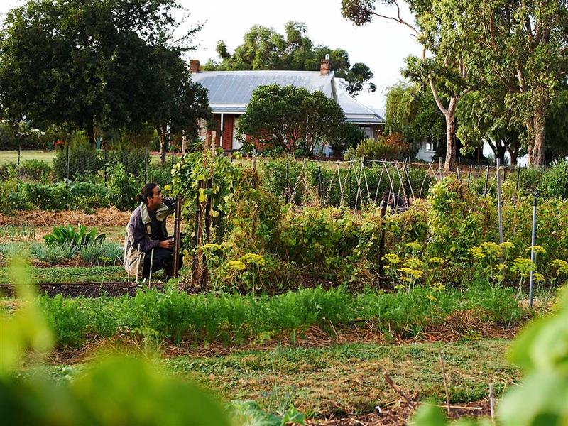Brae, Great Ocean Road, Victoria, Australia