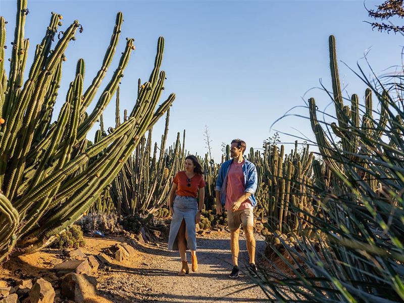 Cactus Country, Strathmerton, The Murray, Victoria, Australia