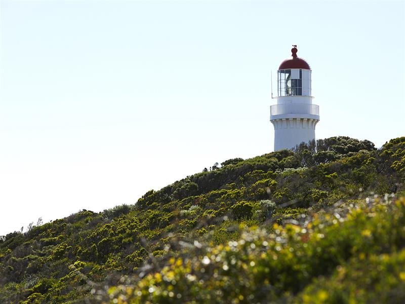 Two Bays Trail at Cape Schanck Lighthouse, Mornington Peninsula, Victoria, Australia
