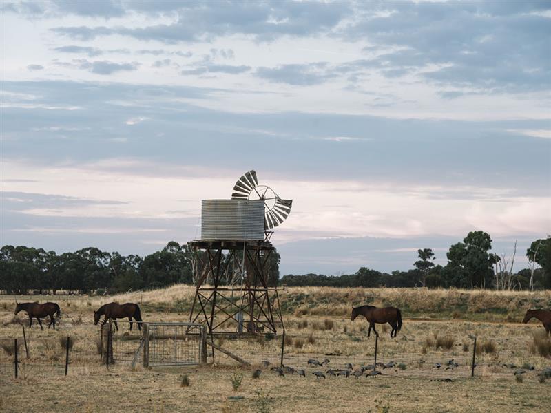 Chambers Rosewood Vineyards, Rutherglen, Victoria, Australia. Photo: Phoebe Powell