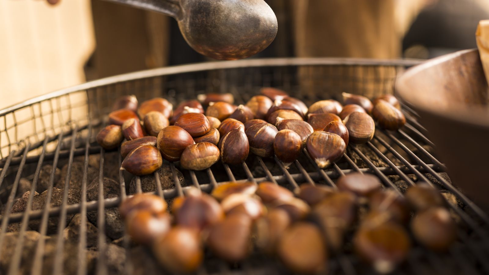 Chestnuts roasting at Trentham