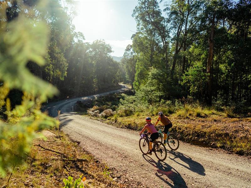 Cycling the King Valley, High Country, Victoria, Australia