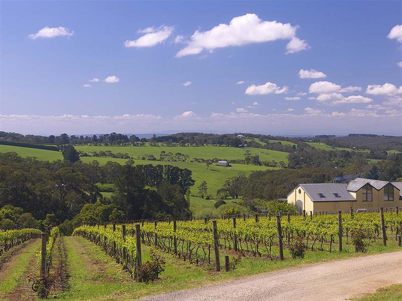 Eldridge Estate, Mornington Peninsula, Victoria, Australia. Image: Derek Ross