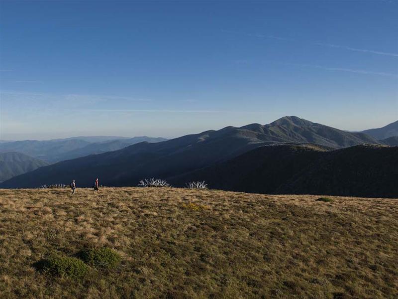 Hiking the Razorback Trail, Mount Feathertop, High Country, Victoria, Australia