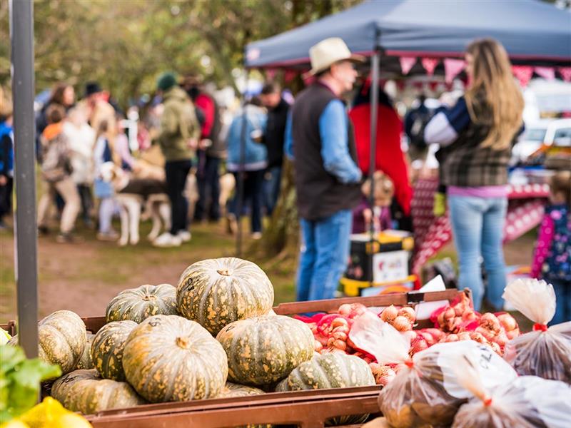 Kyneton Farmers Market, Kyneton. 