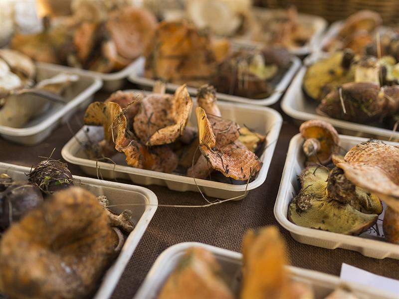 Local produce, Daylesford & Macedon Ranges, Victoria, Australia