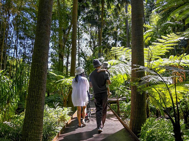 A family walk through the Royal Botanic Gardens in Melbourne, Victoria.