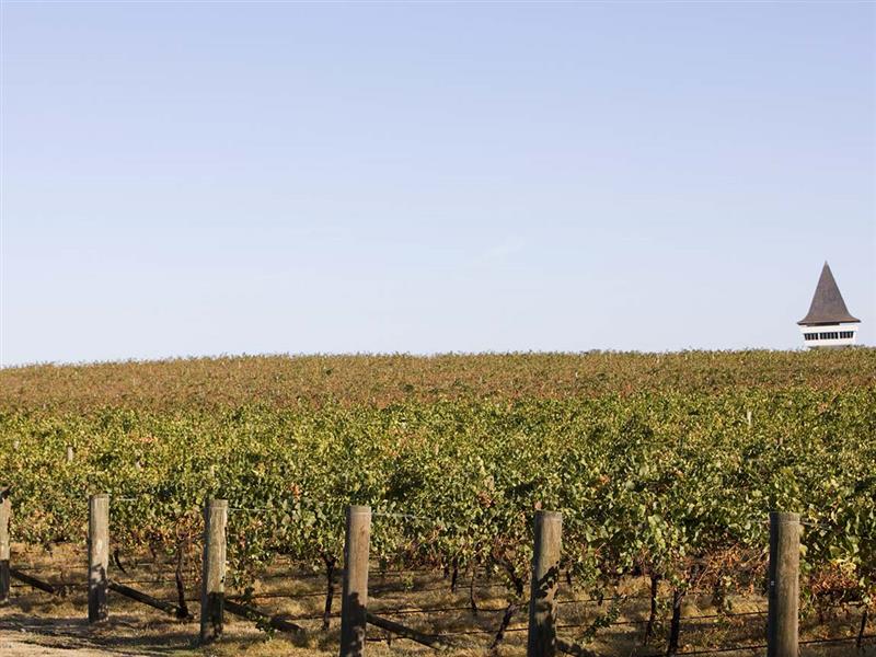 Mitchelton Wines, Mitchellstown, High Country, Victoria, Australia