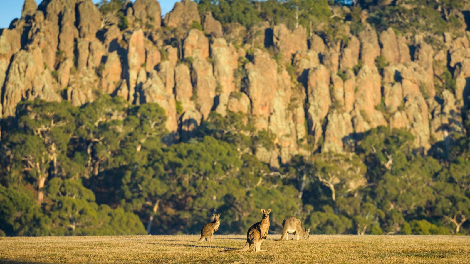 Hanging Rock, Daylesford & the Macedon Ranges, Victoria, Australia. Photo by Rob Blackburn.