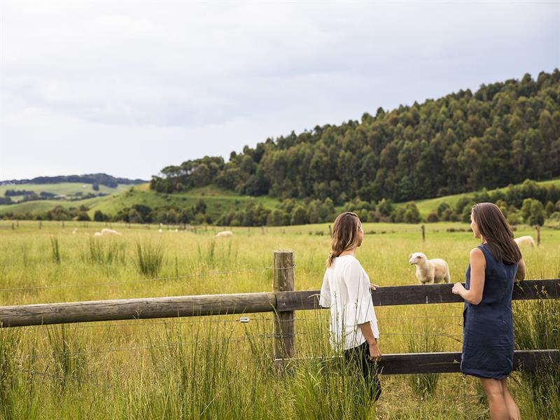 Prom Country Cheese, Moyarra, Gippsland, Victoria, Australia