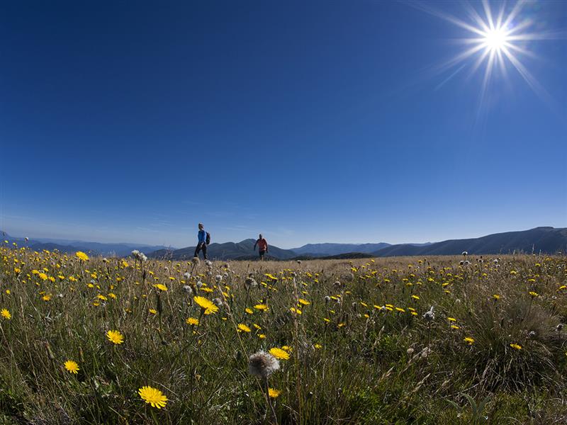 Razorback Ridge, High Country, Victoria, Australia