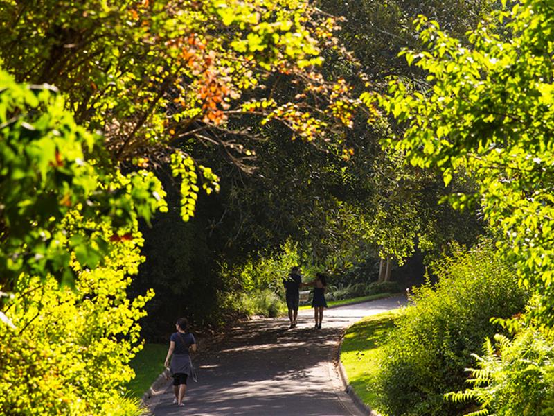 Royal Botanic Gardens, Melbourne, Victoria, Australia