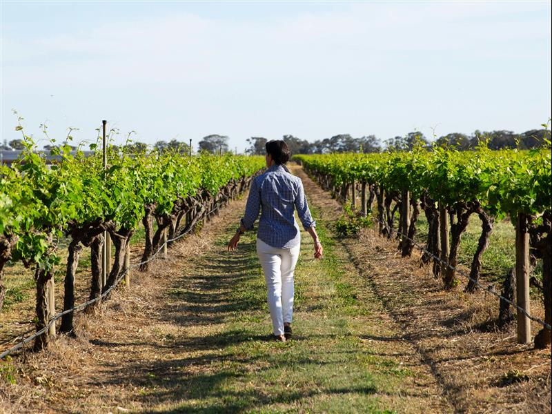 Campbells Wines, Rutherglen