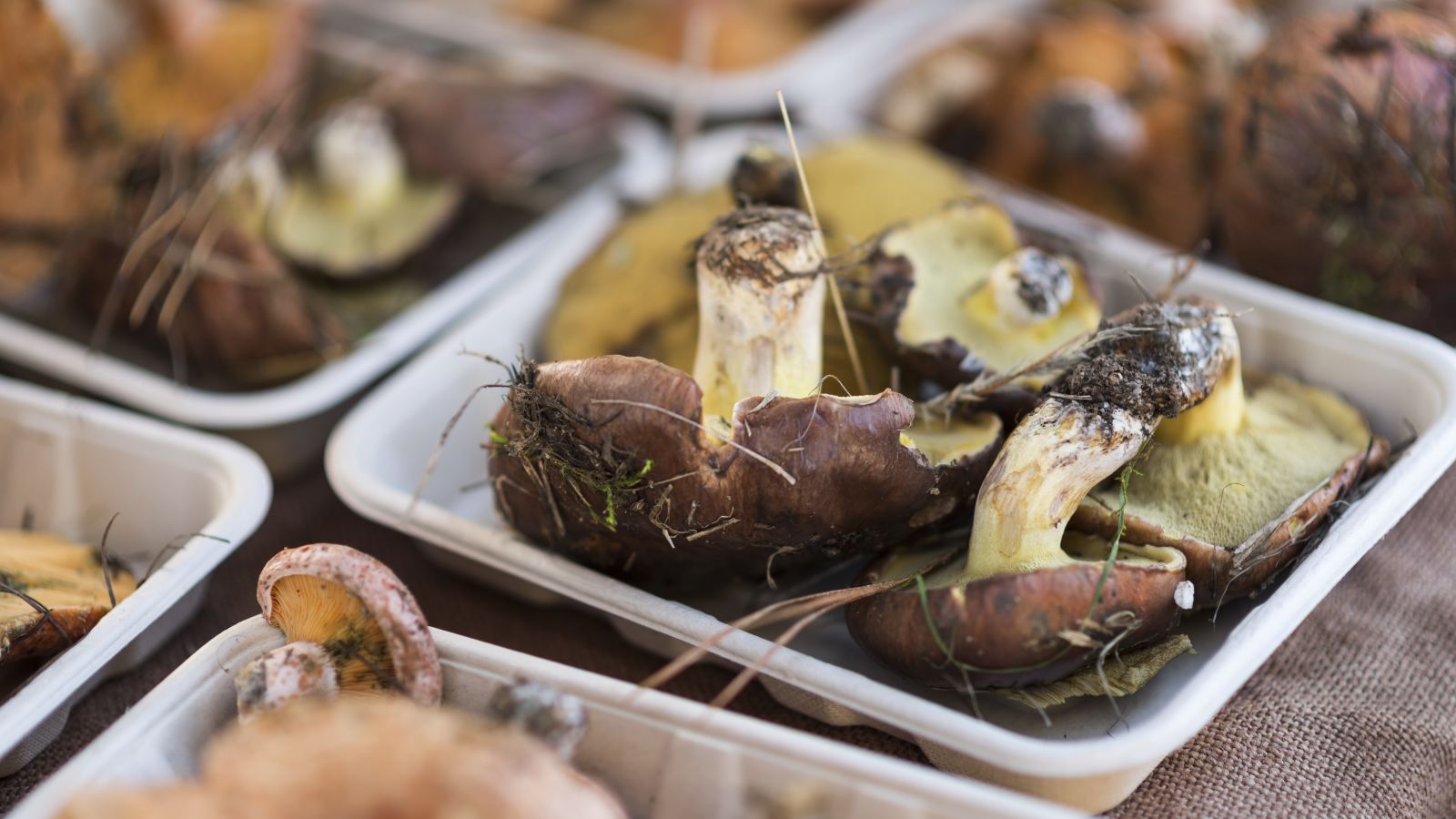 Farmer's Market, Woodend