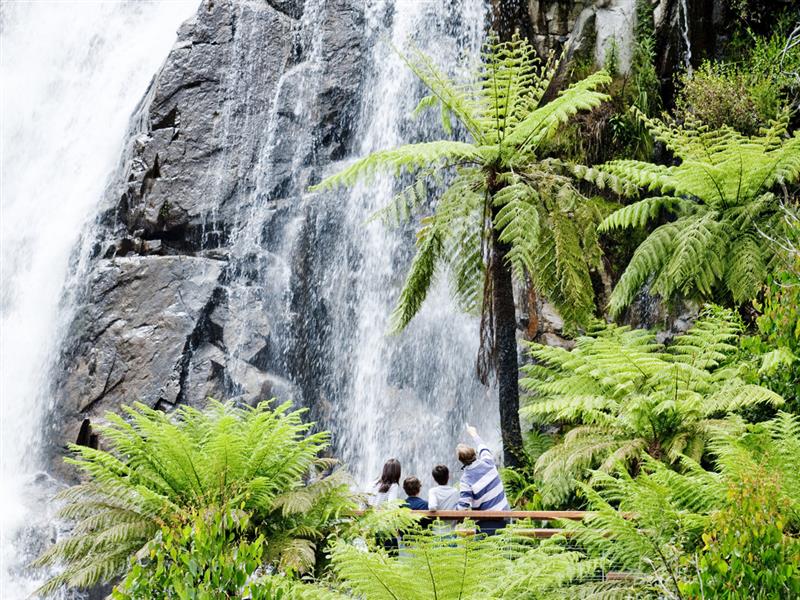 Steavenson Falls, Marysville, Yarra Valley and Dandenong Ranges, Victoria, Australia